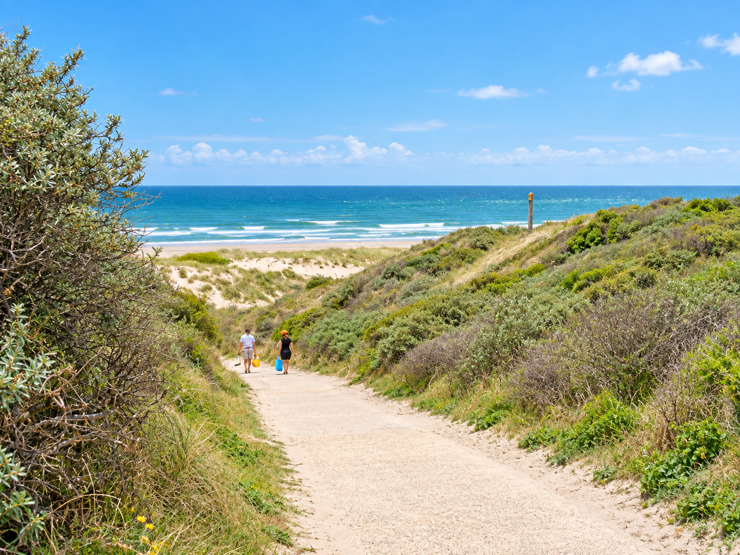 Duinen