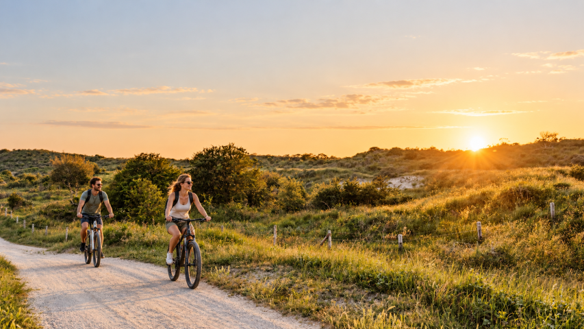Fietsen door gouden duinen
